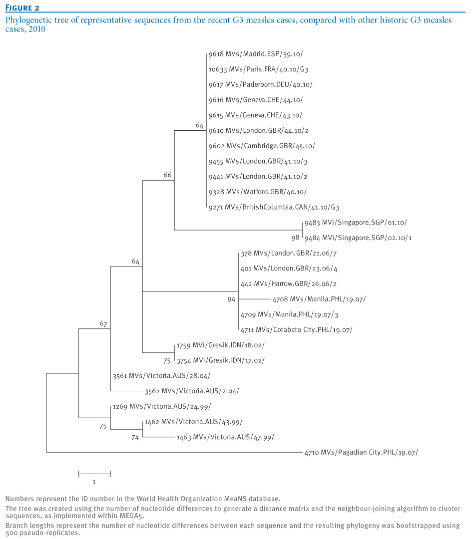 Viral Exanthemata