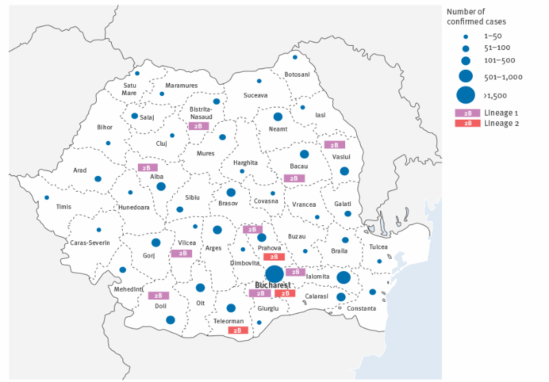 краснуха википедия