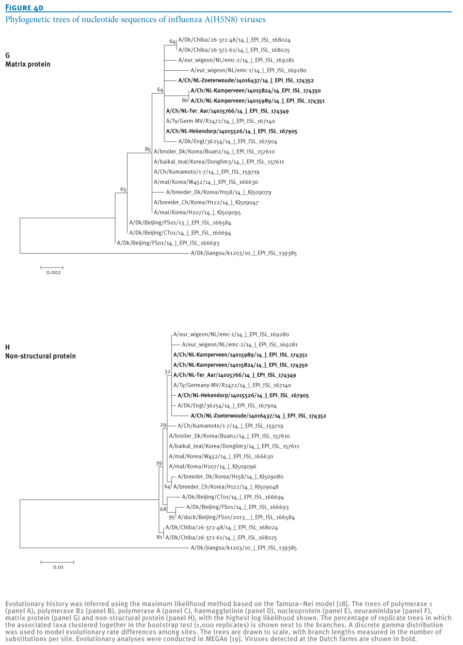 Eurosurveillance Phylogenetic Analysis Of Highly Pathogenic